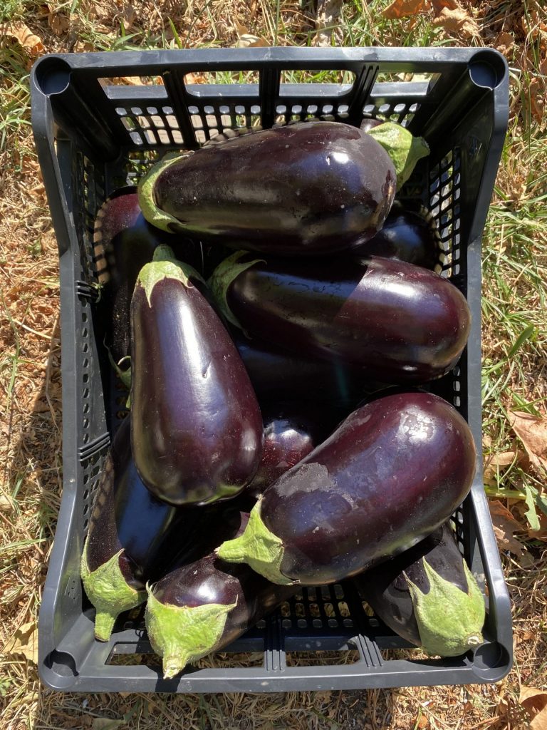 Fotografía de: BioDrops, HarBest Market y Oasis Hunters reciben el reconocimiento de los Premios Proyectos Emprendedores de CETT Fundació | CETT